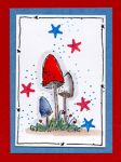 American Mushrooms Card
